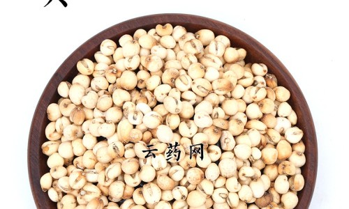 地尔硫卓缓释片的作用、地尔硫卓说明书用法用量 -地尔硫卓缓释胶囊作用途径网